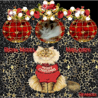 Melody a Noel